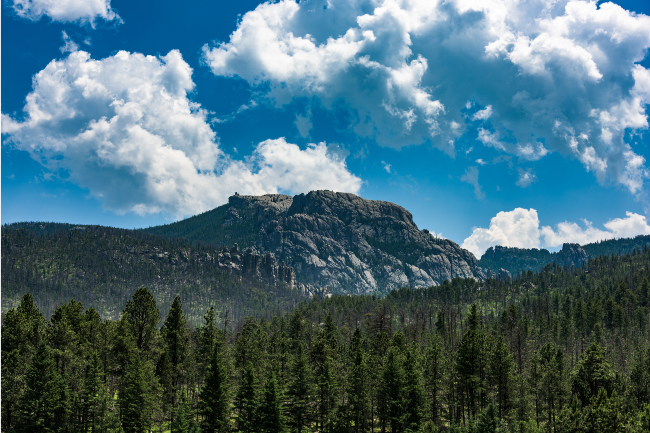 The Art of Creation: Prayer for Our Relatives