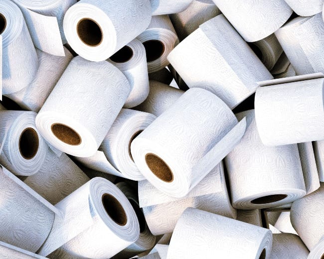Practical Earthkeeping: Toilet Paper