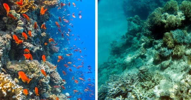 The Art of Creation: Lamenting Silence