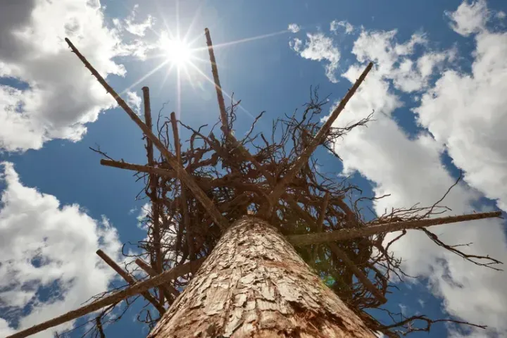 The Art of Creation: Painting with Clouds