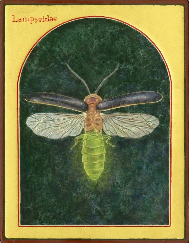 The Art of Creation: Elevating Non-Humans to Their Rightful Place