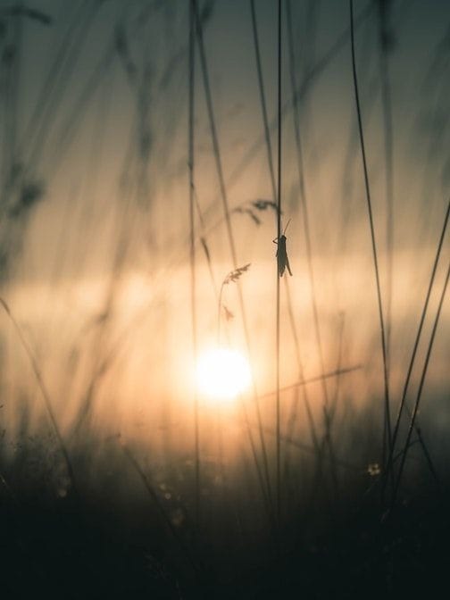 The Art of Creation: Falling Down