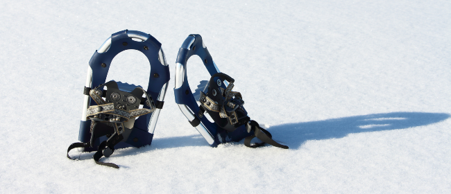 The Art of Creation: Markings in the Snow