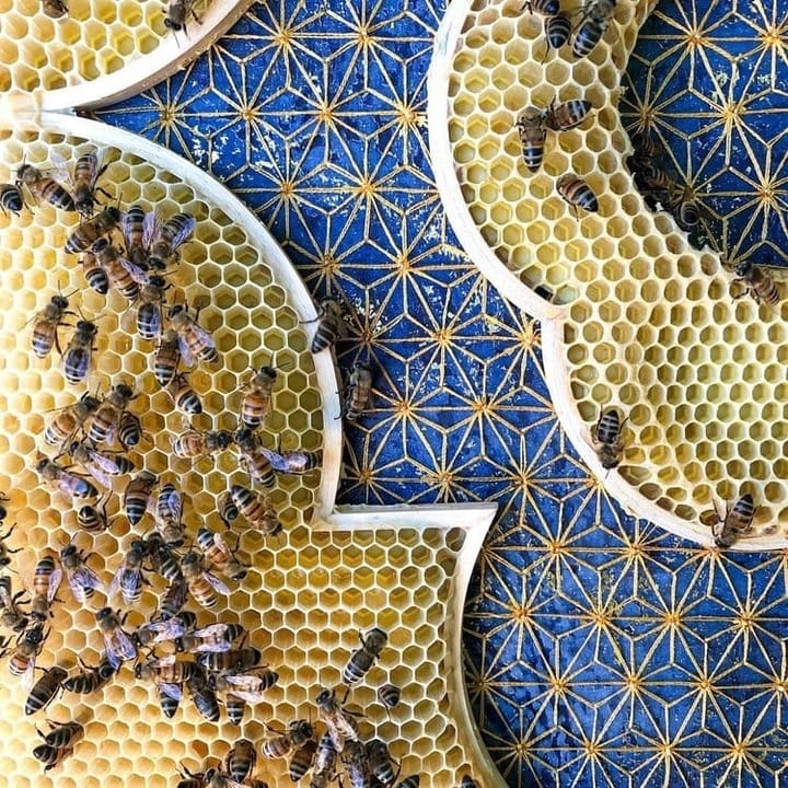 The Art of Creation: Collaborating with Bees