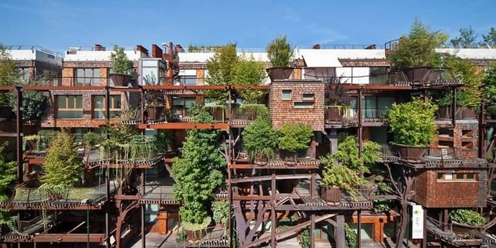 The Art of Creation: Living Amidst Trees