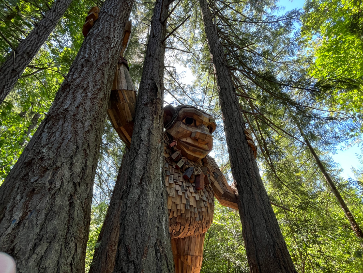 The Art of Creation: A Trail of Trolls