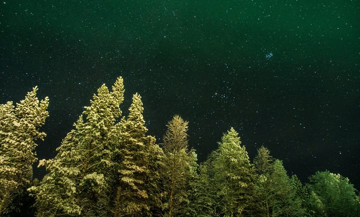 The Art of Creation: Wild Things Reprise