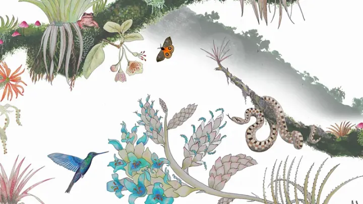 The Art of Creation: Walls and Windows