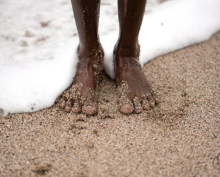 Born to Be Wild: The Journey of Rewilding