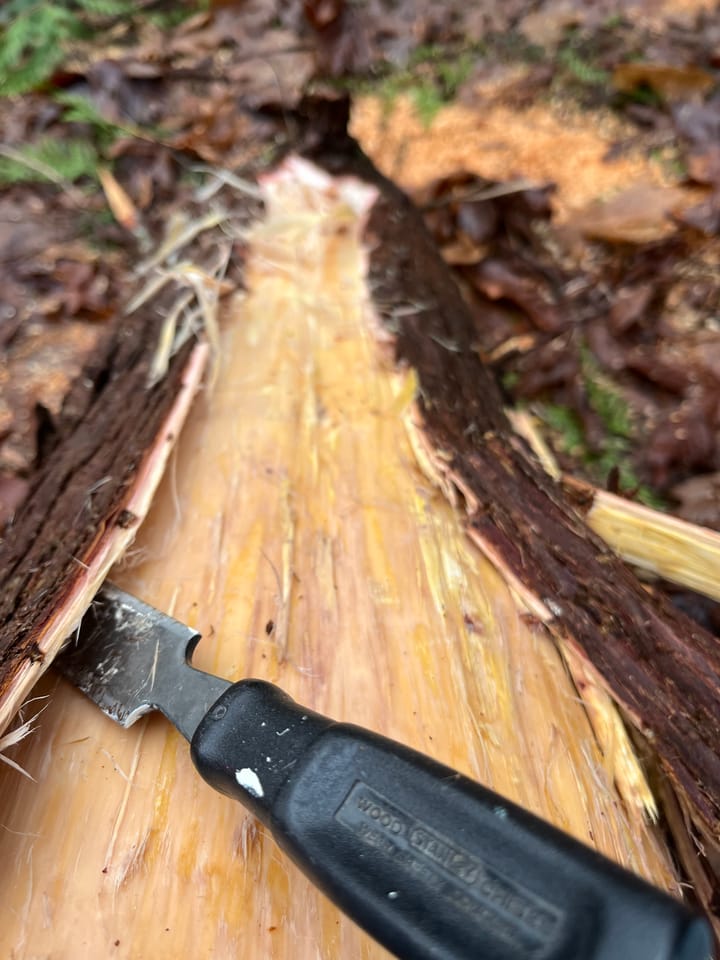 The Art of Creation: Cedar Bark