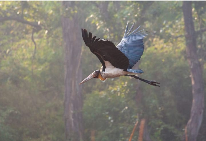 The Art of Creation: Beyond the Surface