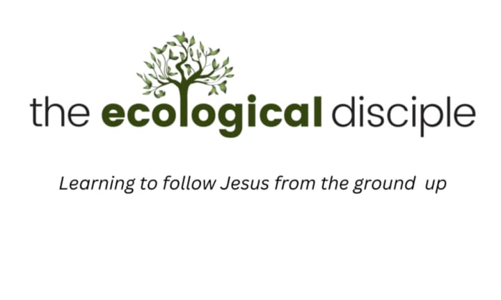 We are glad you found us!