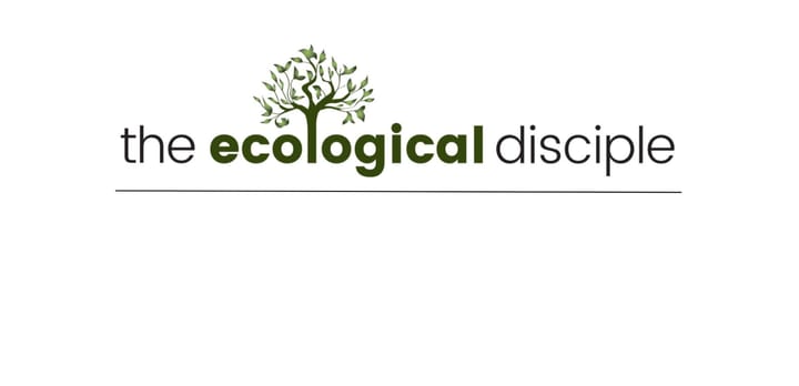 We are glad you found us!