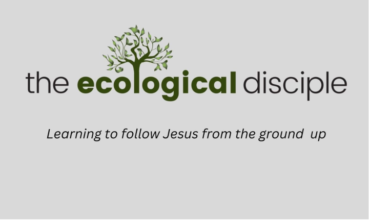 We are glad you found us!